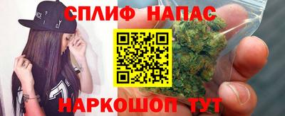 СК Коммунар