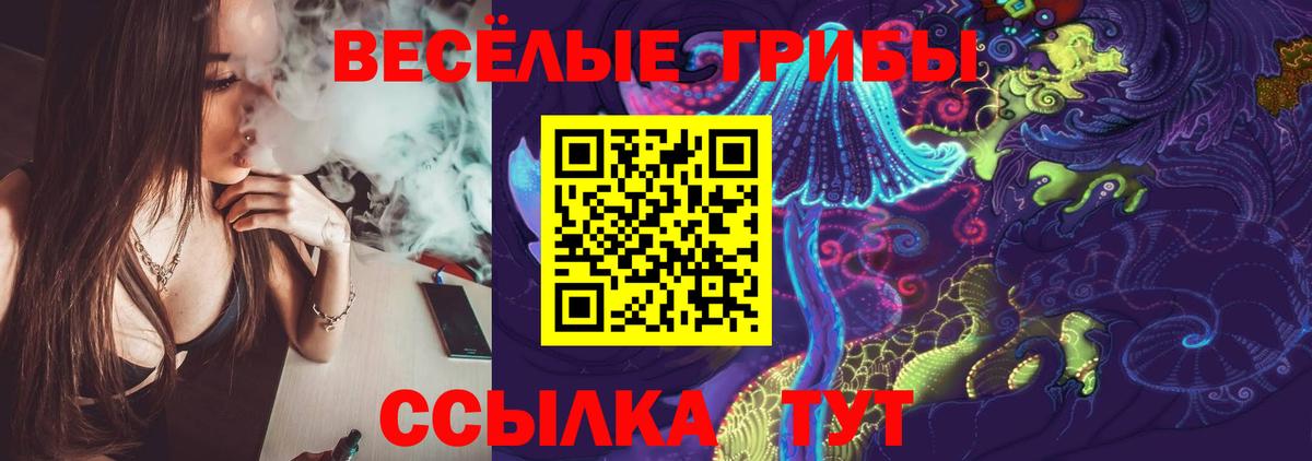 Галлюциногенные грибы MAGIC MUSHROOMS  наркотики  Черногорск  Вход с VPN  Псилоцибиновые грибы ЛСД 